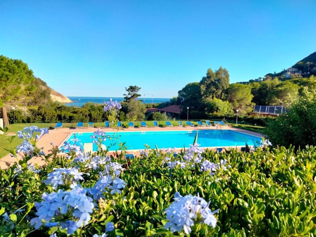 Elbamare Residence Con Piscina Nisporto Экстерьер фото